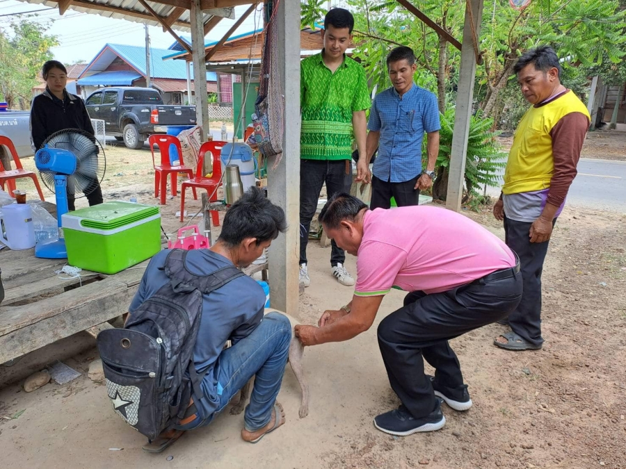 งานสาธารณสุข สำนักปลัด อบต.นาดี  ร่วมกับผู้นำชุมชน ลงพื้นที่ฉีดวัคซีนป้องกันโรคพิษสุนัขบ้า บริเวณบ้านม่วงน้อย หมู่ที่ 2 ตำบลนาดี อำเภอนาเยีย จังหวัดอุบลราชธานี